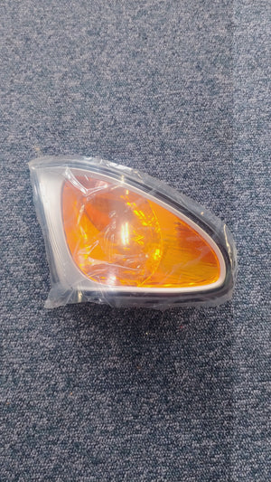 BMW E46 Blinker Titan (Rechts) Vorschau 1