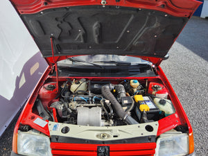 2025 - Peugeot 205 GTI 1.6 (1989) Vorschau 26