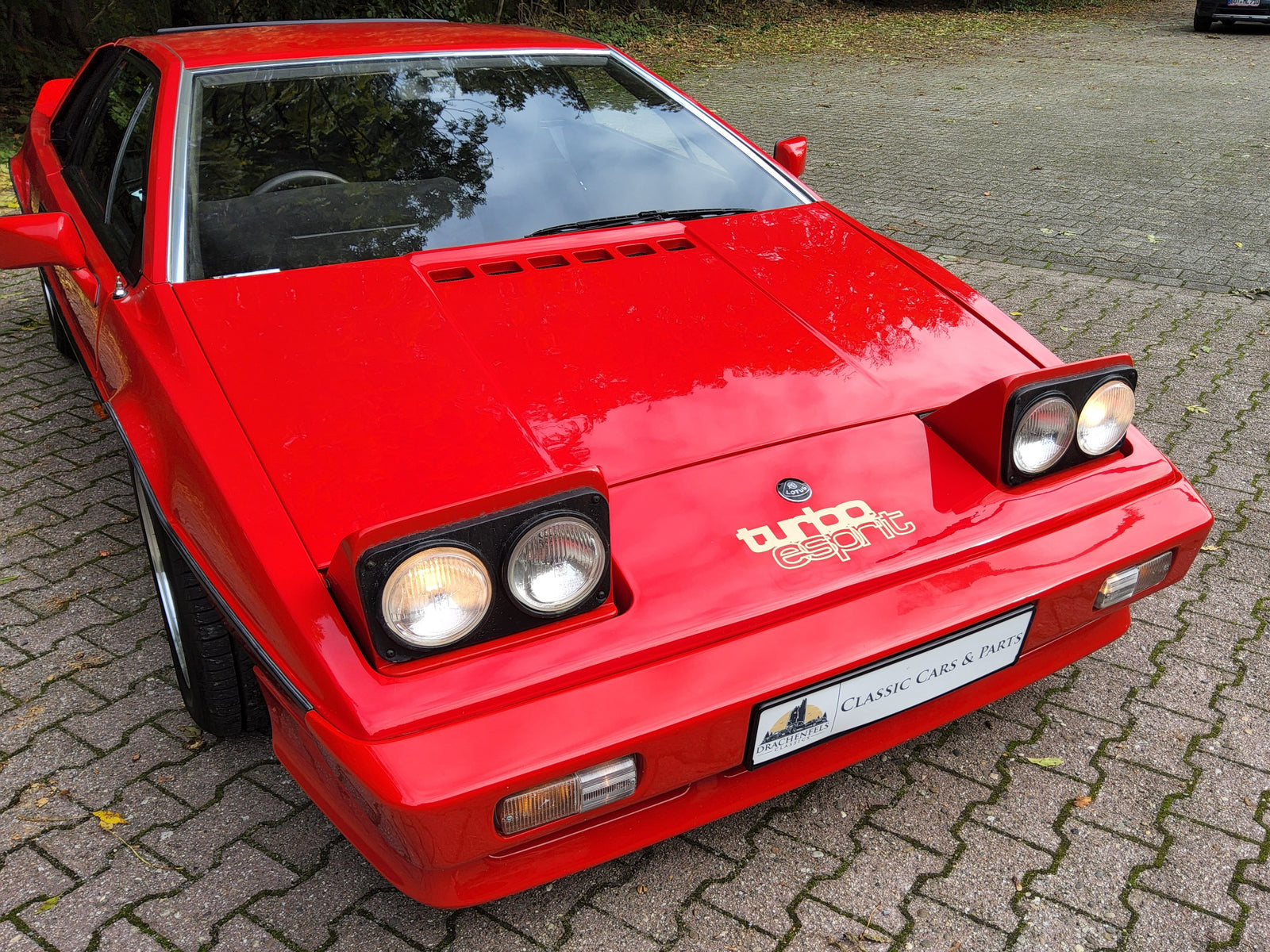 2025 - Lotus Esprit S3 Turbo (1981) Bild 12