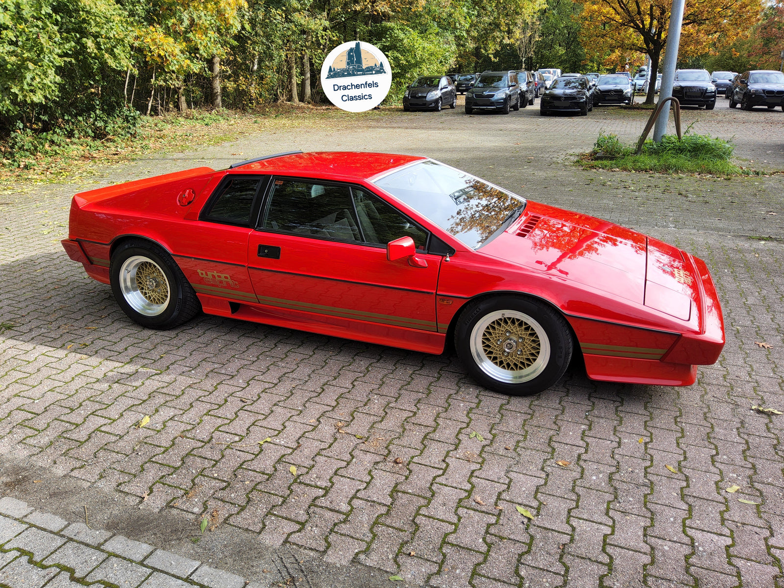 2025 - Lotus Esprit S3 Turbo (1981) Bild 8