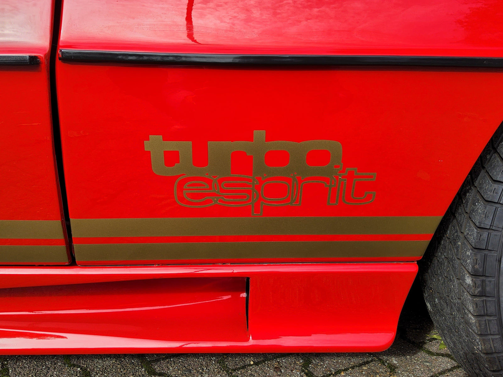 2025 - Lotus Esprit S3 Turbo (1981) Bild 17