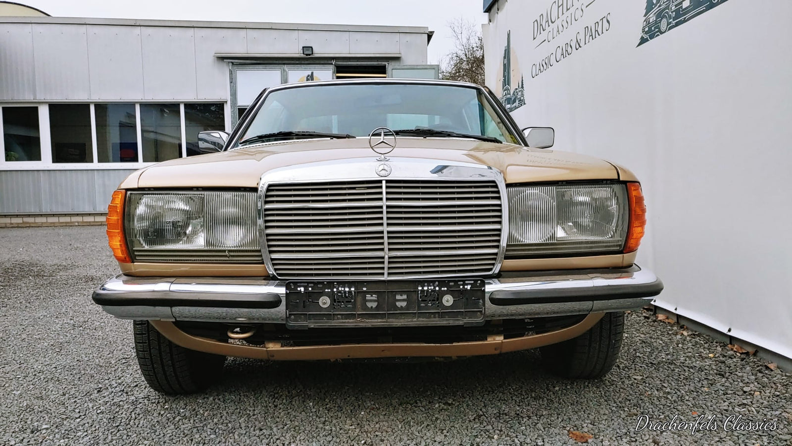 2023 - Mercedes-Benz 230 CE (W123) (1982) - Projektfahrzeug Bild 4