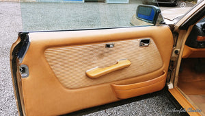 2023 - Mercedes-Benz 230 CE (W123) (1982) - Projektfahrzeug Vorschau 19