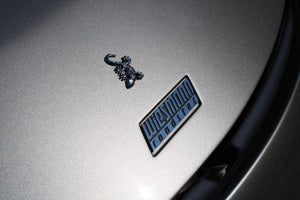Wiesmann Roadster MF4 - im Kundenauftrag (Liftsystem, OZ-Felgen, Rückfahrkamera) Vorschau 15
