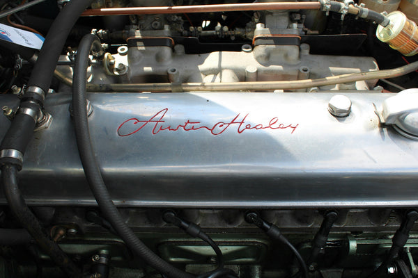 Austin-Healey 3000 BN7 - im Kundenauftrag (LHD, Getrag 5-Gang, Wertgutachten)