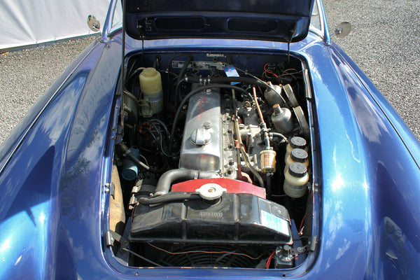 Austin-Healey 3000 BN7 - im Kundenauftrag (LHD, Getrag 5-Gang, Wertgutachten)