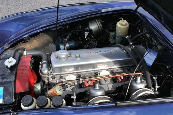Austin-Healey 3000 BN7 - im Kundenauftrag (LHD, Getrag 5-Gang, Wertgutachten)