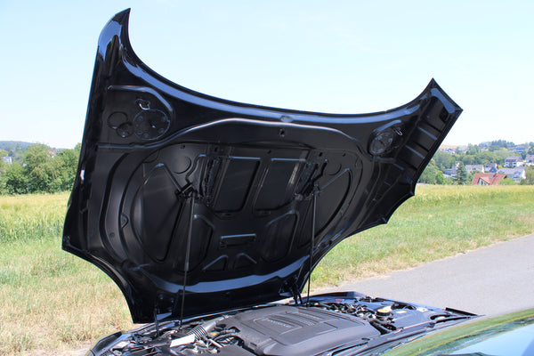 Jaguar F-Type V8 S Roadster - im Kundenauftrag (Ohne OPF, 2. Hand, SHZ, Tempomat)