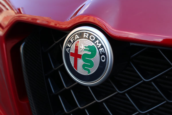 Alfa Romeo Stelvio Quadrifoglio Anniversario 100 - im Kundenauftrag (Limitiert, Pano, Carbon, Allrad)
