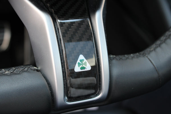 Alfa Romeo Stelvio Quadrifoglio Anniversario 100 - im Kundenauftrag (Limitiert, Pano, Carbon, Allrad)