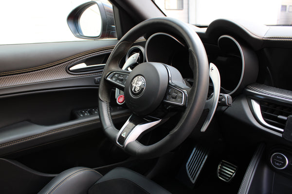 Alfa Romeo Stelvio Quadrifoglio Anniversario 100 - im Kundenauftrag (Limitiert, Pano, Carbon, Allrad)