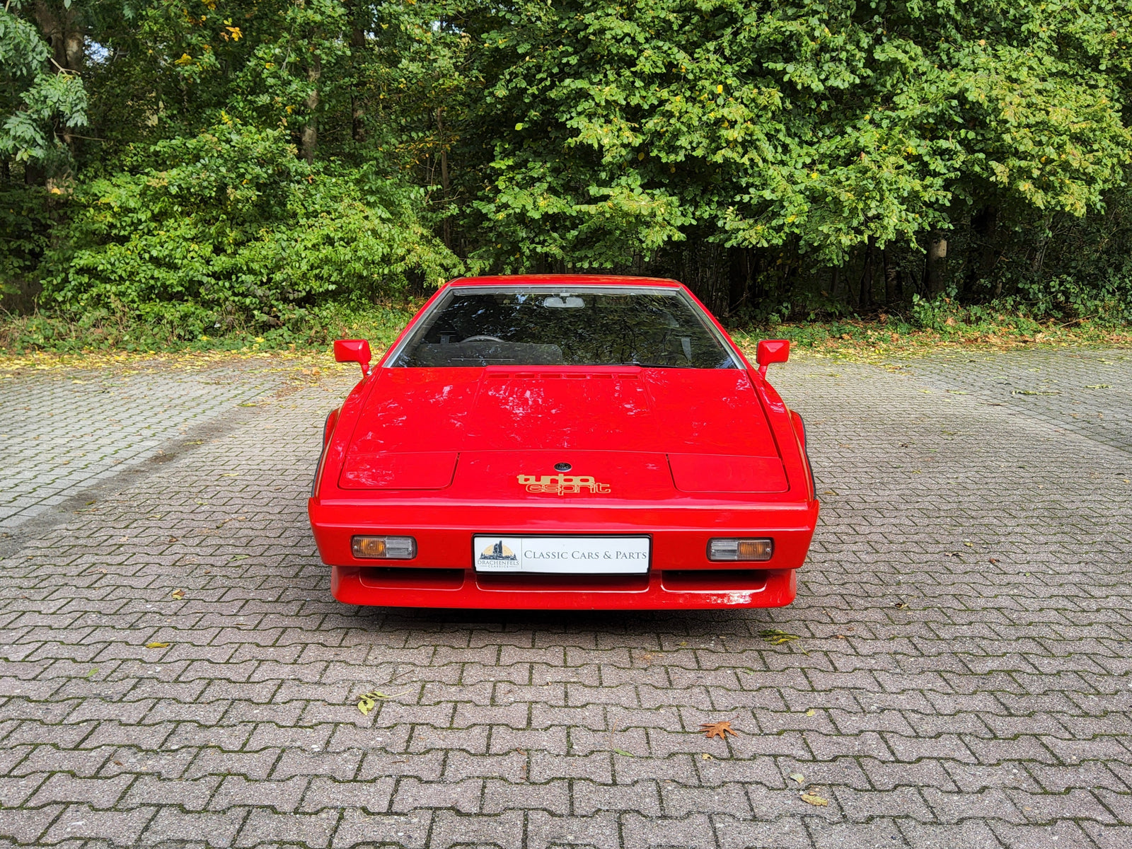 2025 - Lotus Esprit S3 Turbo (1981) Bild 9