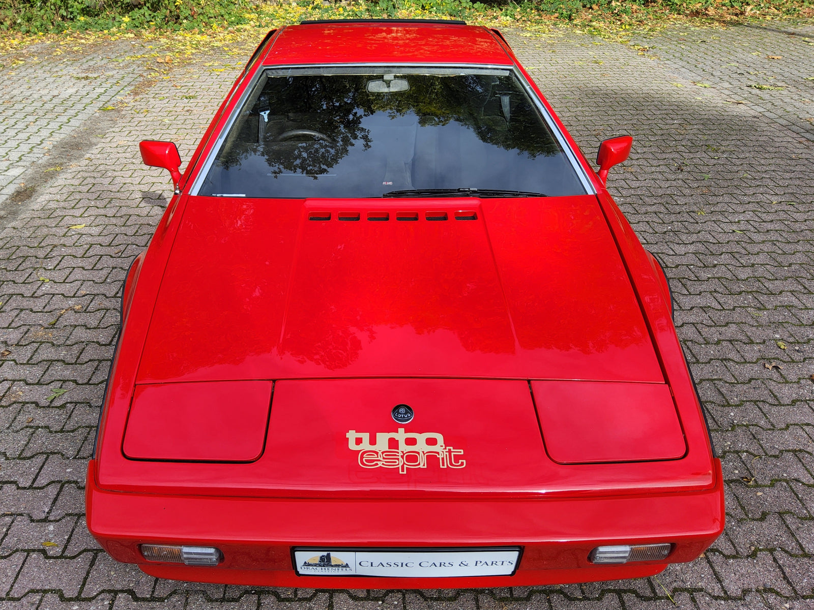 2025 - Lotus Esprit S3 Turbo (1981) Bild 10