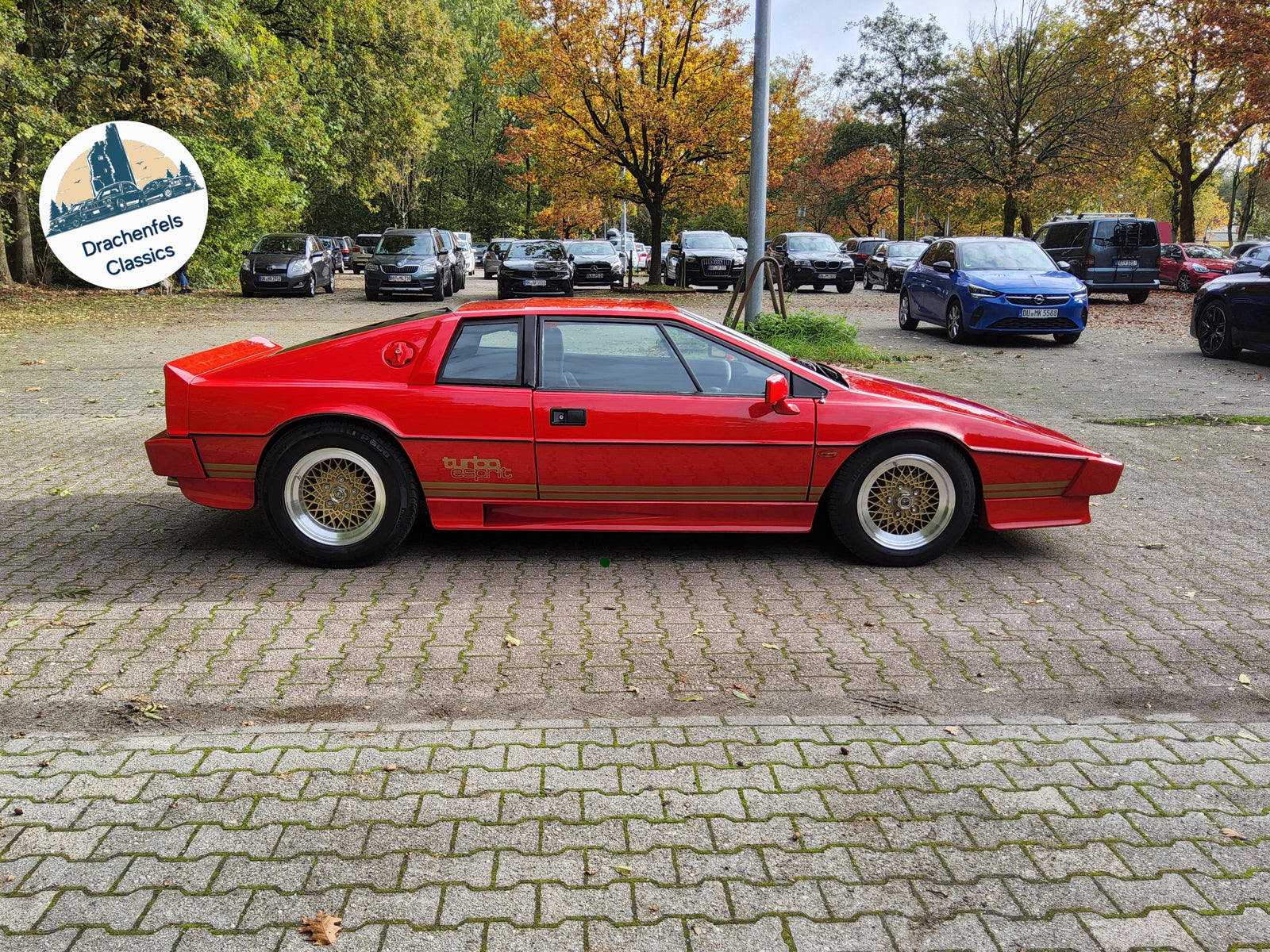 2025 - Lotus Esprit S3 Turbo (1981) Bild 7