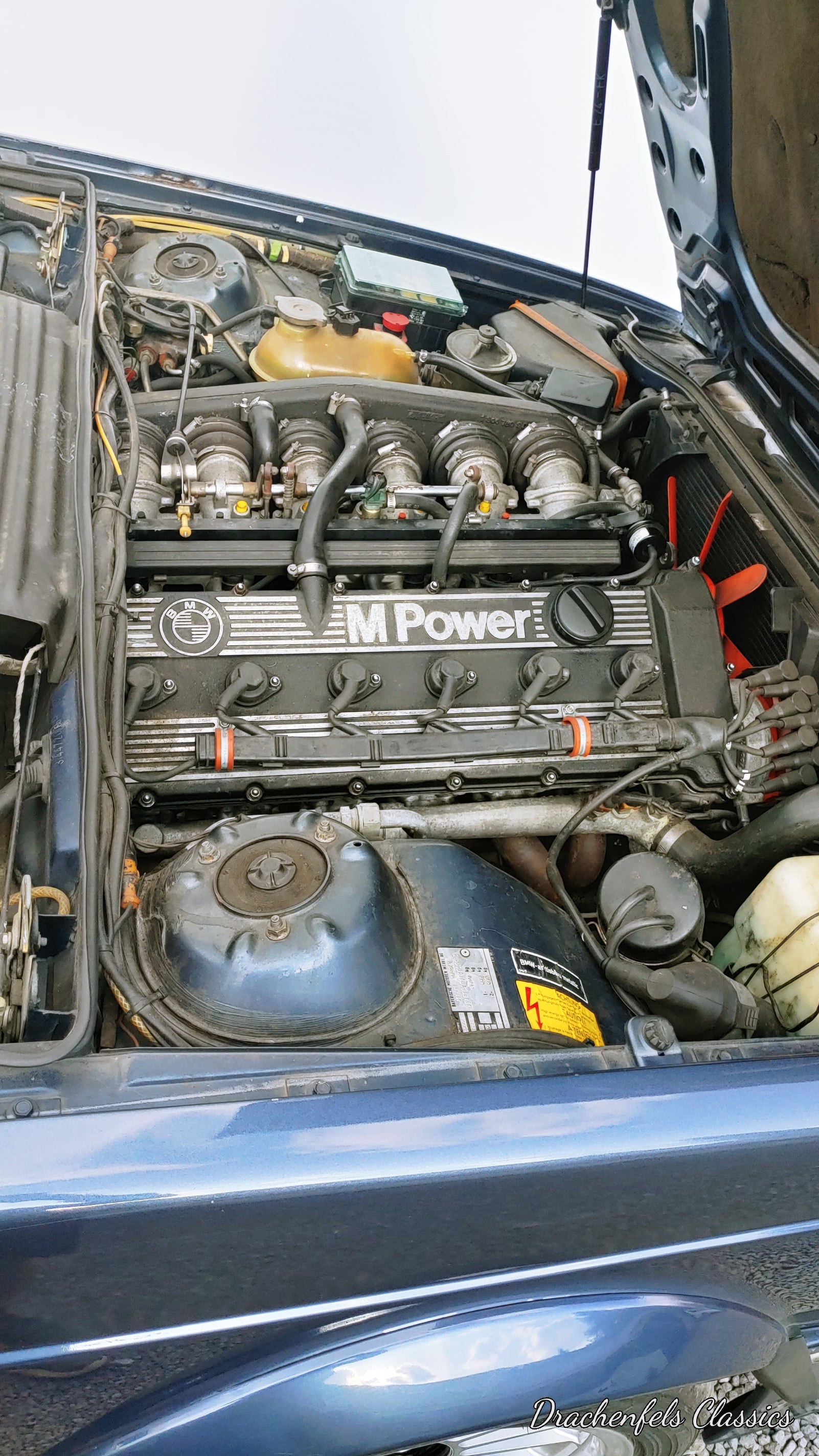BMW M635 CSi (ESSD, Vollleder, Schalter, Katlos) (1984)