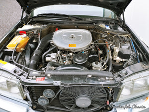 2022 - Mercedes-Benz 420 SEL (W126) (1989) Vorschau 15