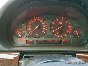 2021 - BMW 728i (E38) (1998) Vorschau 18
