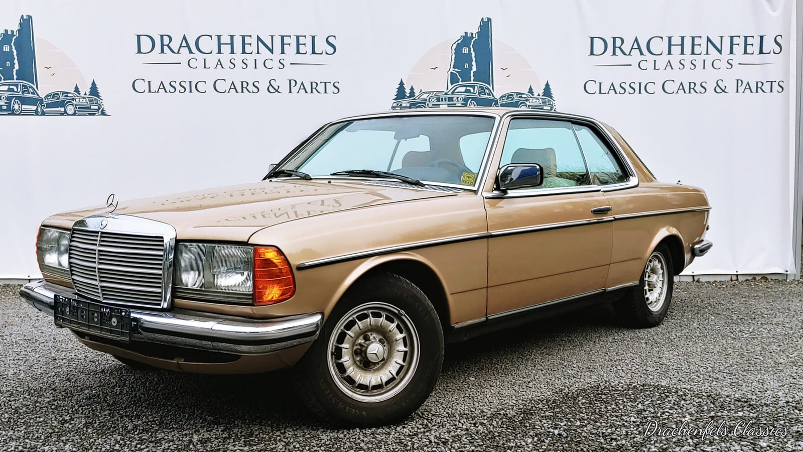 2023 - Mercedes-Benz 230 CE (W123) (1982) - Projektfahrzeug Bild 1