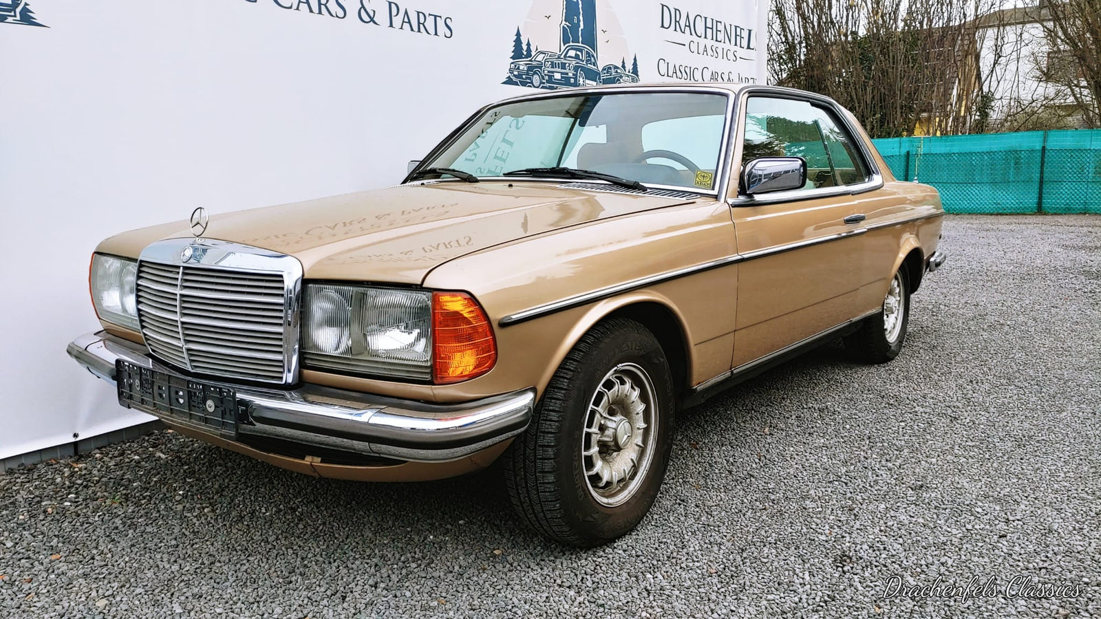 2023 - Mercedes-Benz 230 CE (W123) (1982) - Projektfahrzeug Bild 3