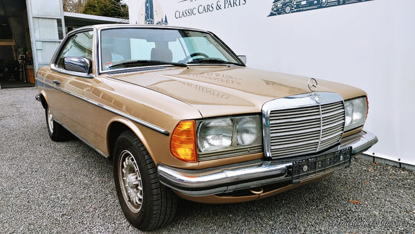 2023 - Mercedes-Benz 230 CE (W123) (1982) - Projektfahrzeug