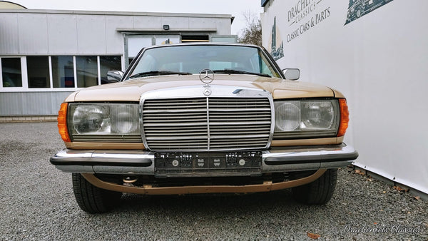 2023 - Mercedes-Benz 230 CE (W123) (1982) - Projektfahrzeug