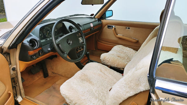 2023 - Mercedes-Benz 230 CE (W123) (1982) - Projektfahrzeug