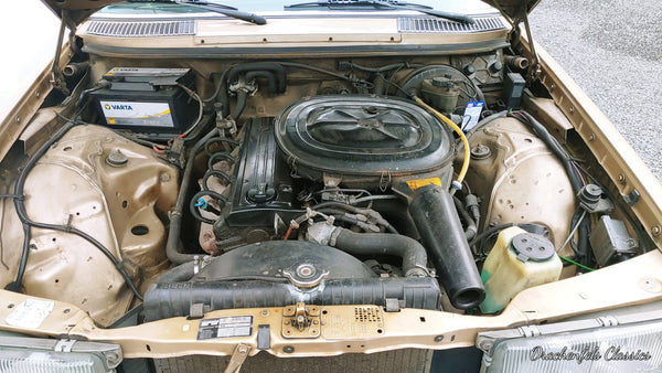 2023 - Mercedes-Benz 230 CE (W123) (1982) - Projektfahrzeug